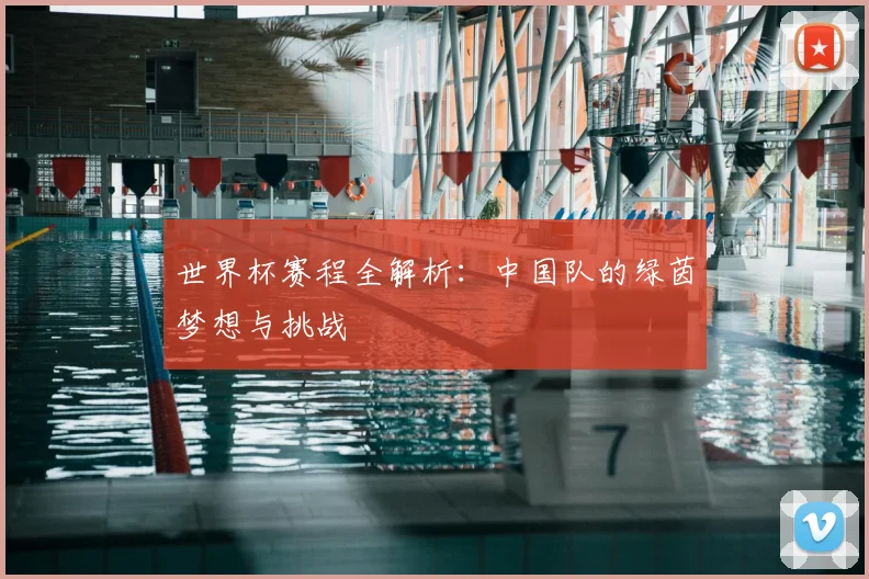 世界杯赛程全解析：中国队的绿茵梦想与挑战