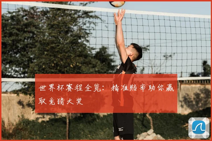 世界杯赛程全览：精准赔率助你赢取竞猜大奖