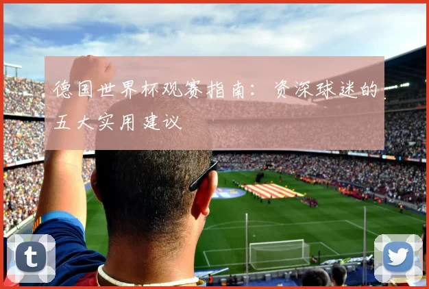 德国世界杯观赛指南:资深球迷的五大实用建议