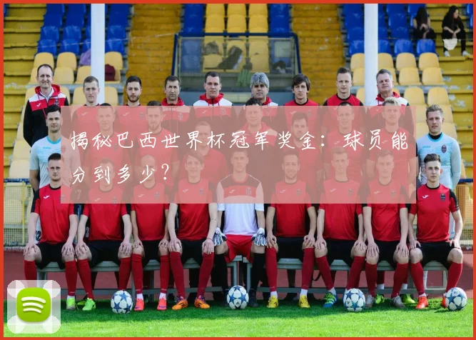 揭秘巴西世界杯冠军奖金：球员能分到多少？