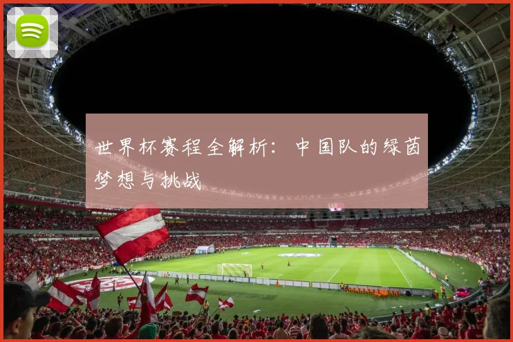 世界杯赛程全解析：中国队的绿茵梦想与挑战
