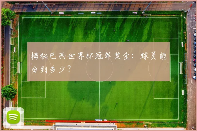 揭秘巴西世界杯冠军奖金：球员能分到多少？