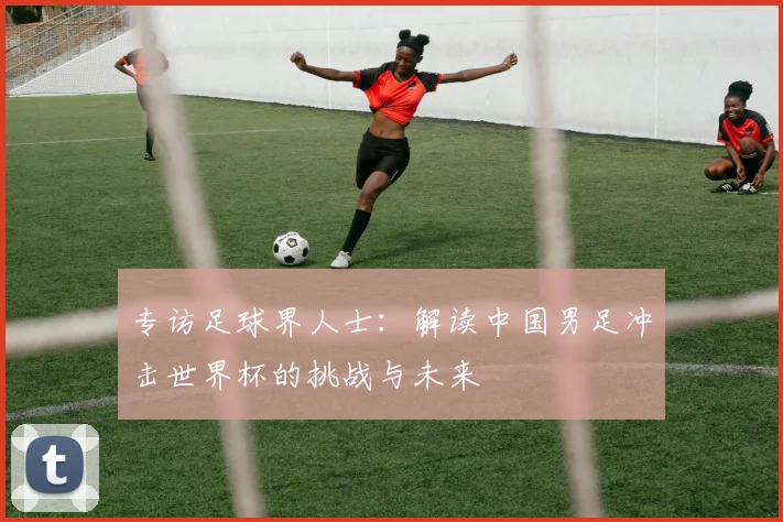 专访足球界人士：解读中国男足冲击世界杯的挑战与未来