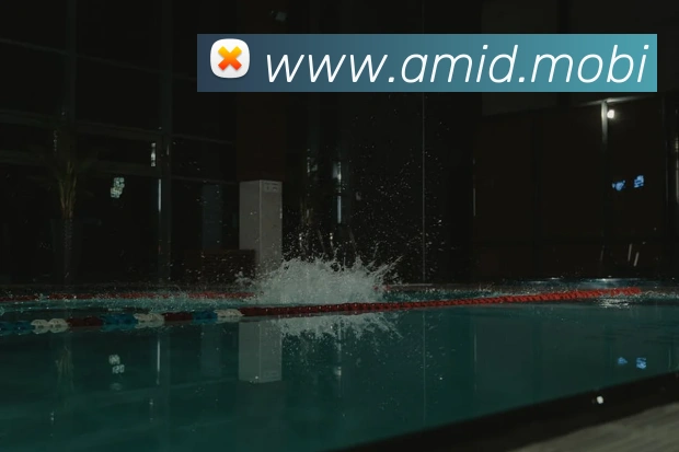 开云手机网页入口APP 封面图